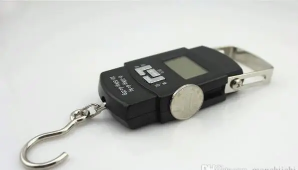 
Electronic Digital Handing Pocket 50Kg 10G Portable Kitchen Hook Balance 