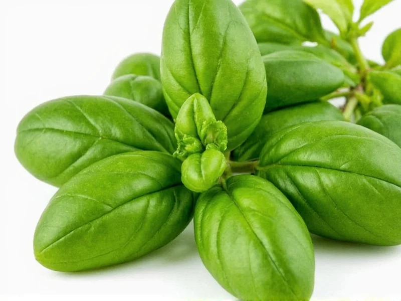 1/2 Cup Fresh Basil Equals How Much Dried: Conversion Guide
