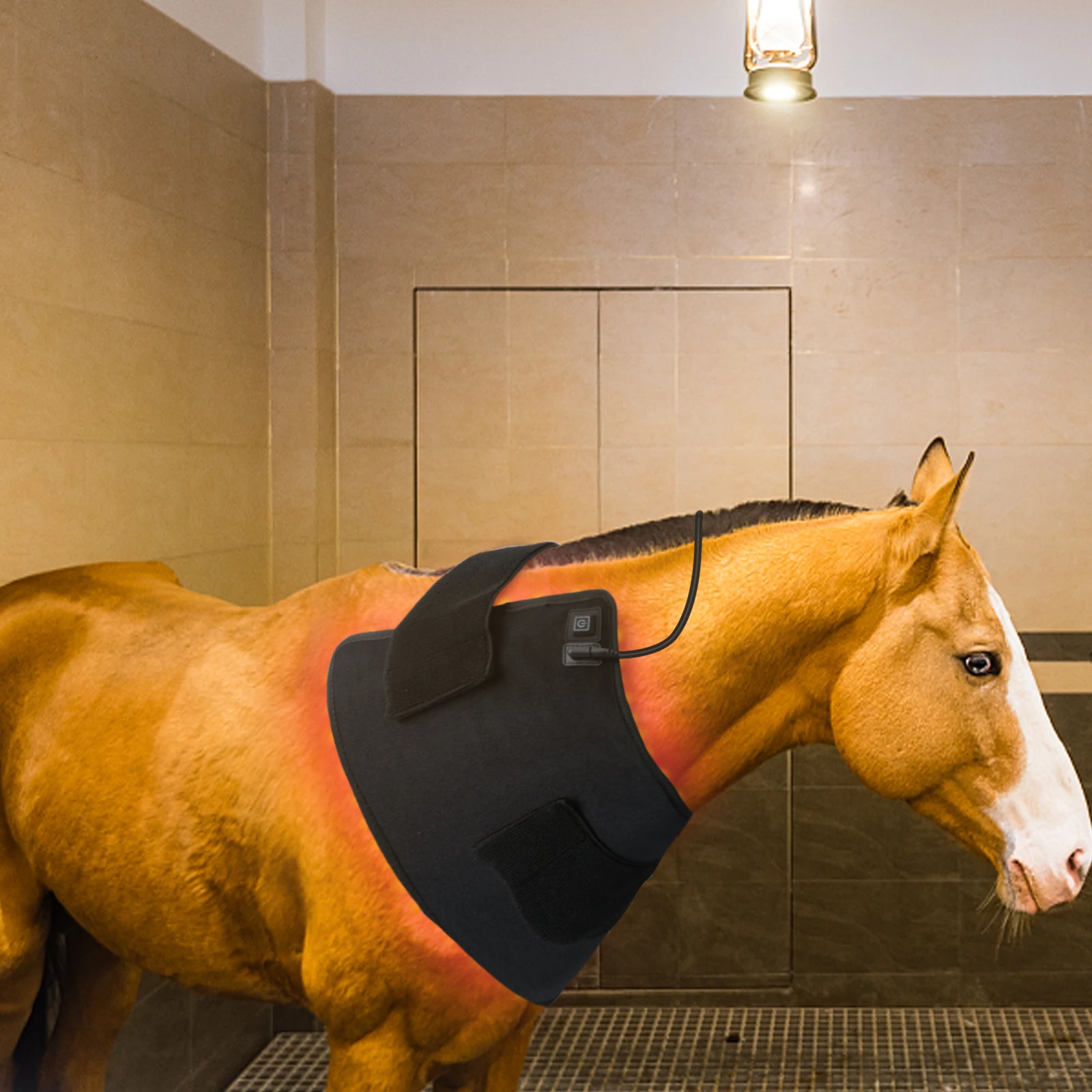 OEM ODM  Heating Pad  LEDs Infrared Light Therapy Mat 660nm 850nm Red Light Therapy Blanket Horse