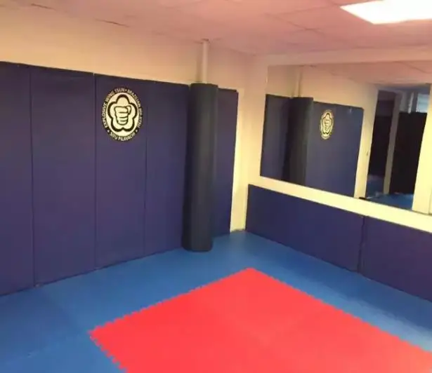 wall pad.jpg
