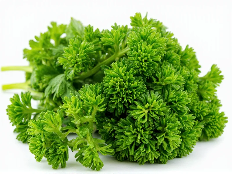 Best Parsley Substitutes for Cooking: Top Alternatives Explained