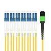 12 Core Single Mode 3Feet Cable, Fiber Patch Cord Types