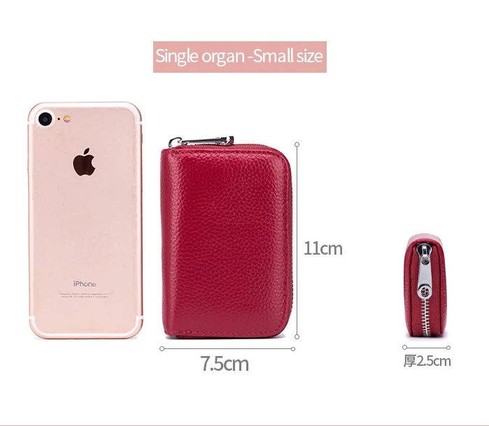 Small Size.jpg