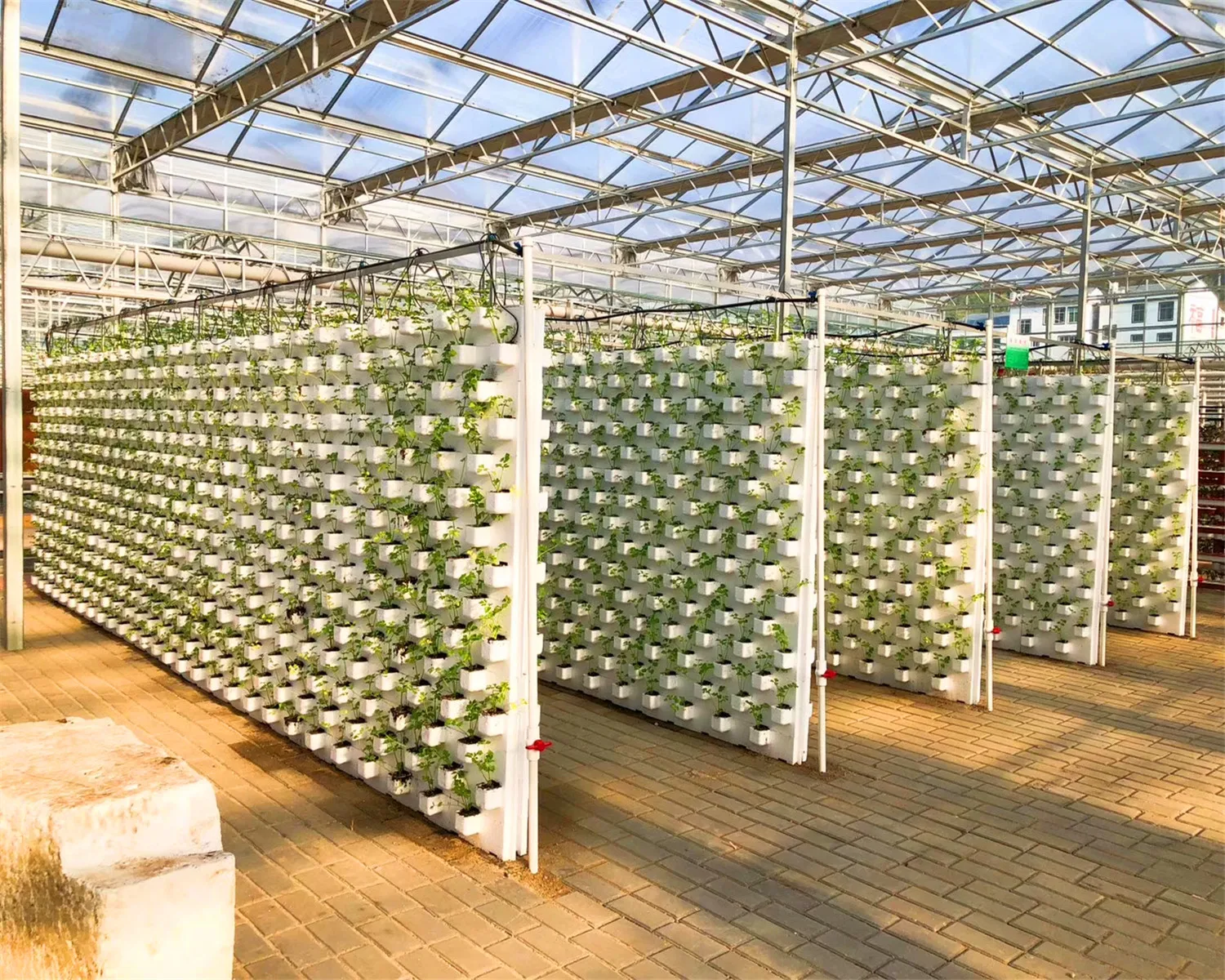 Greenhouse Nft Hydroponics Pvc Channel Cultivation System Hydroponic