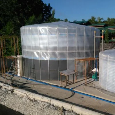 
High Gas Production Medium and Large Size 66m3 Portable Assembly Membrane Biogas System Biodigester  (60446628654)