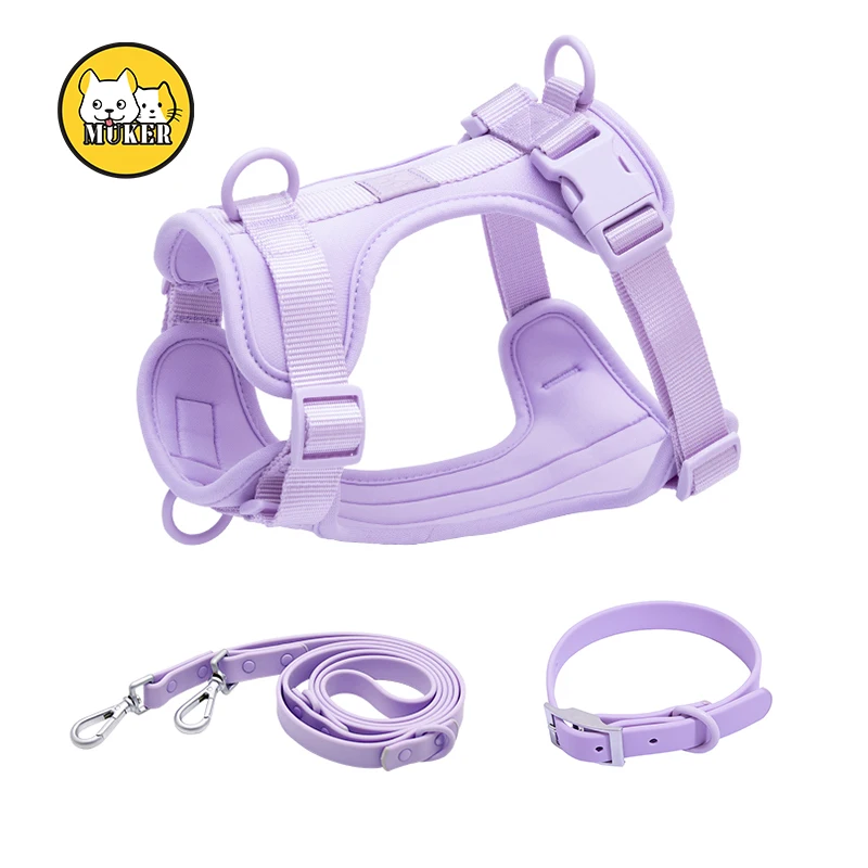 Wholesale Small Size Lightweight Polyester Adjustable Dog Jacket Multicolor Solid Custom Logo Collar Leash Harness Set Fashion
