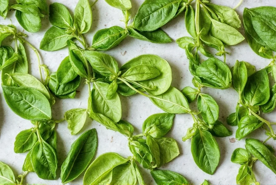 Fresh sweet basil leaves on a wooden table