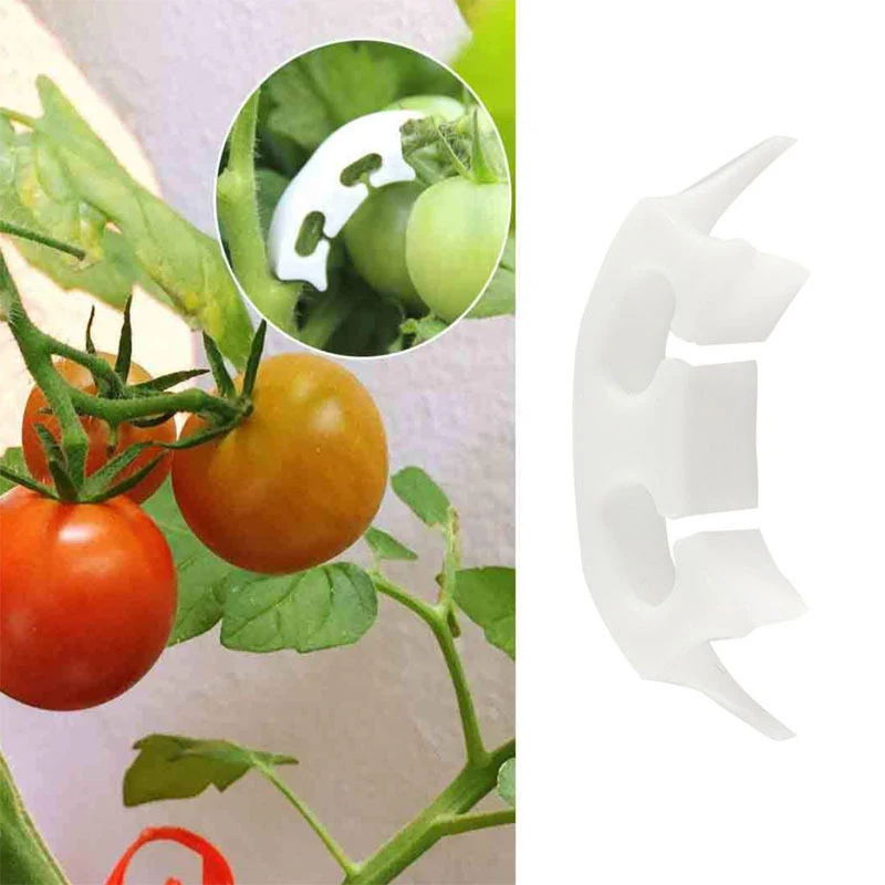 

Anti-bend Watermelon Hanging Seedling Clip Hanging Mand 50pcs Tomato Fixing Clip Fruit Sapling Reinforcement Clip Spike Handle