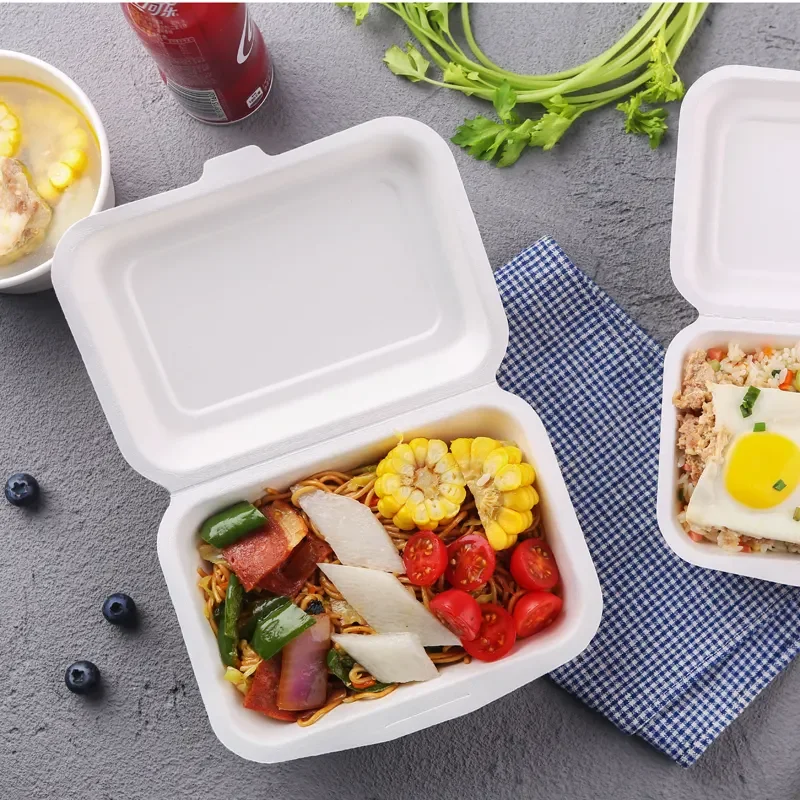 

PFAS Free Biodegradable Disposable Take Away Sugarcane Bagasse Pulp Molded Food Container Clamshell Lunch Box