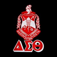 

Custom delta sigma theta embroidery patch with factory price