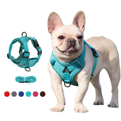 

Chest Plate Simple Polyester Soft Cushioned Air Mesh Hybrid Pet Leash and Harness Set for Dog Safety