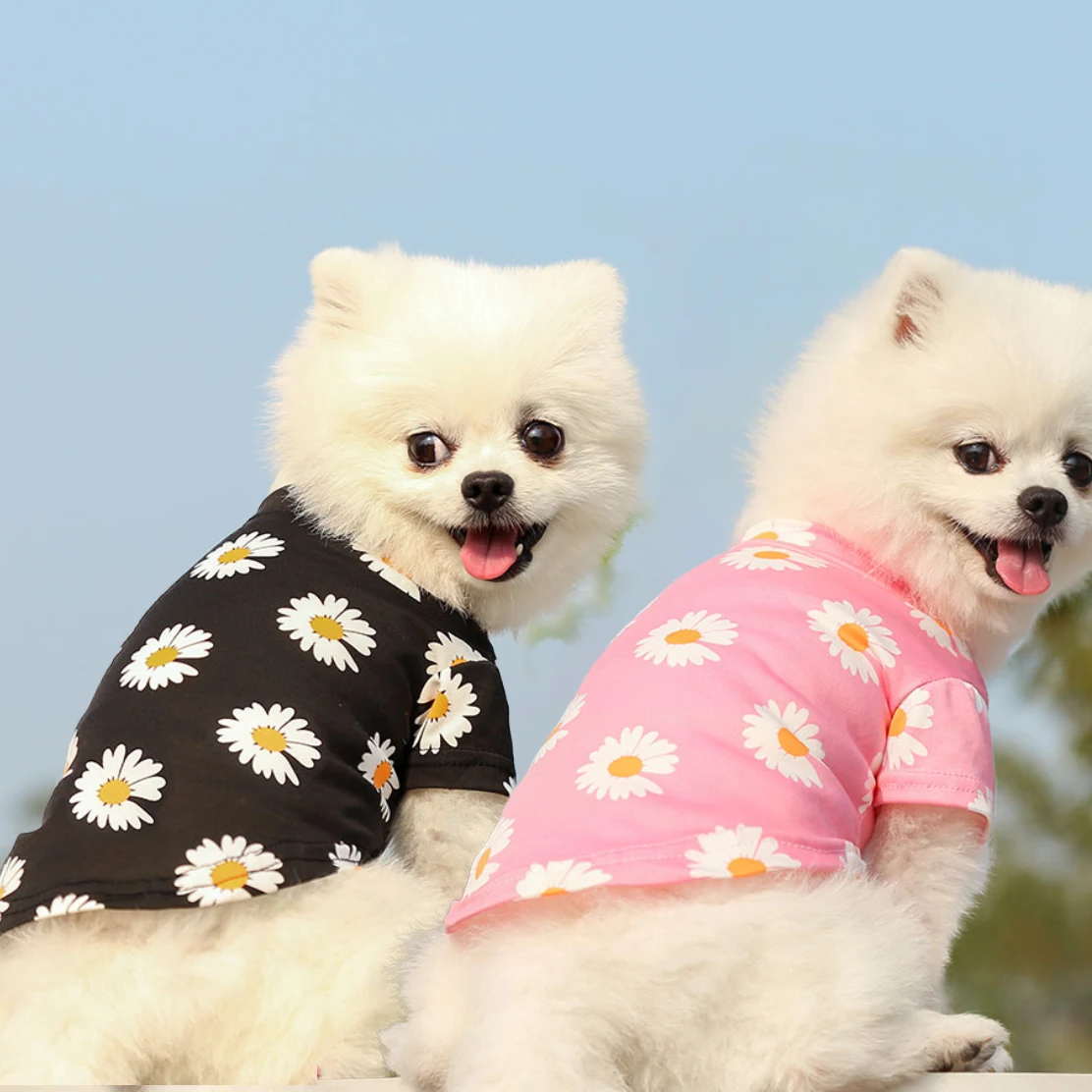 

Wholesale Spring Summer dog clothes silky cool daisy dog T-shirt Pet apparel