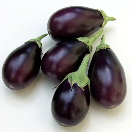 
Fresh Vegetable Brinjal Eggplant Aubergine for export 