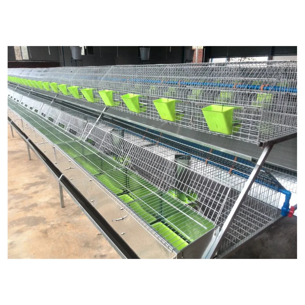 galvanized rabbit cages