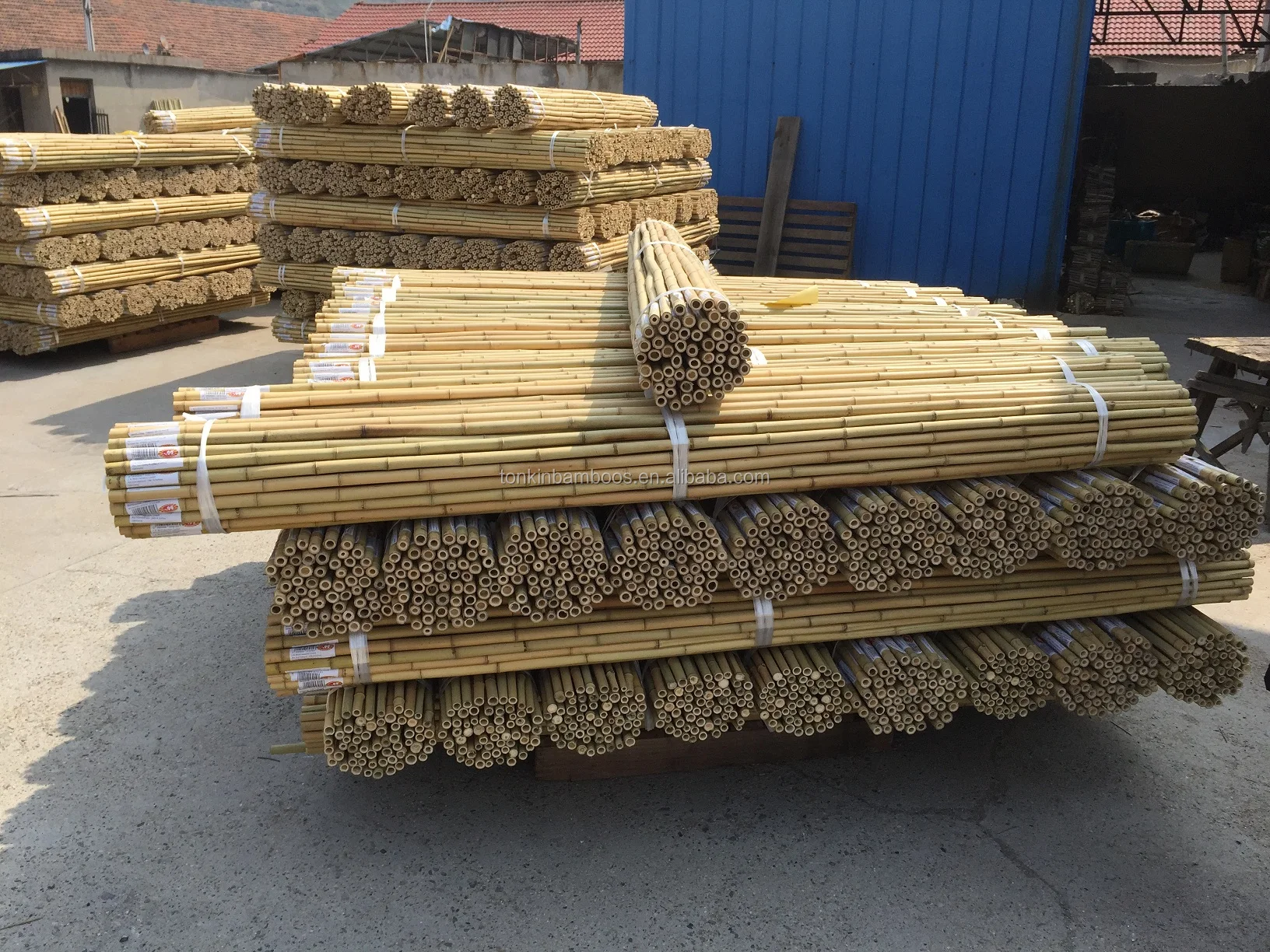 hot! natural yellow bamboo poles straight fumigation for garden