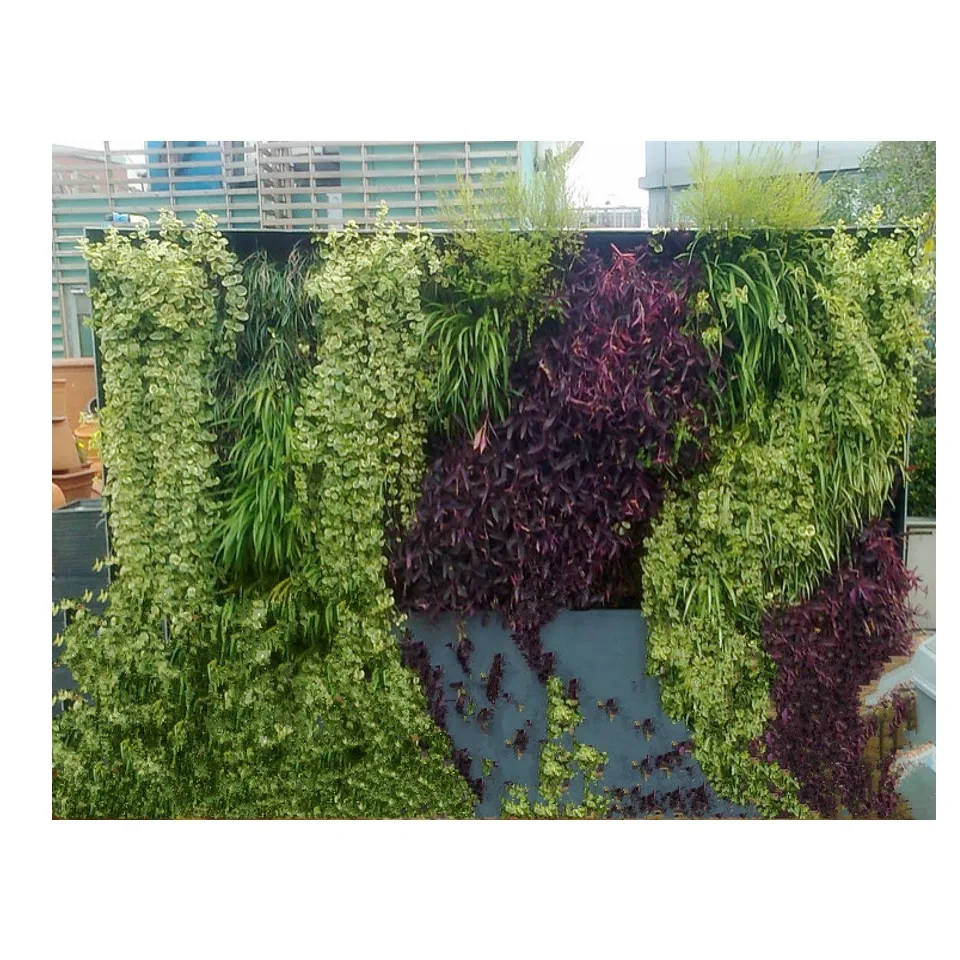 

good quality decorative boxwood panel used on the wall vertical grass plant for garden