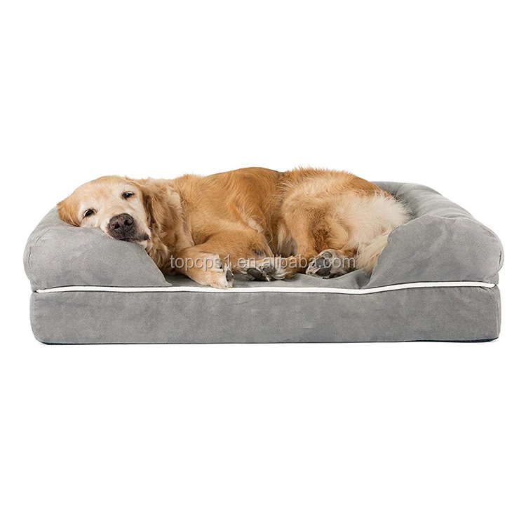 cute big dog beds