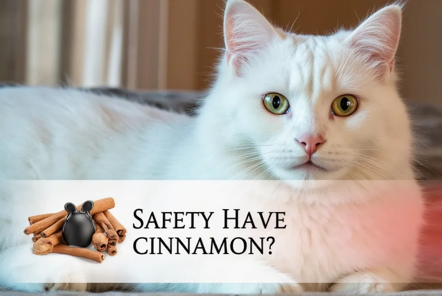 Close-up of a cat sniffing cinnamon powder on kitchen counter showing potential household hazard for cats