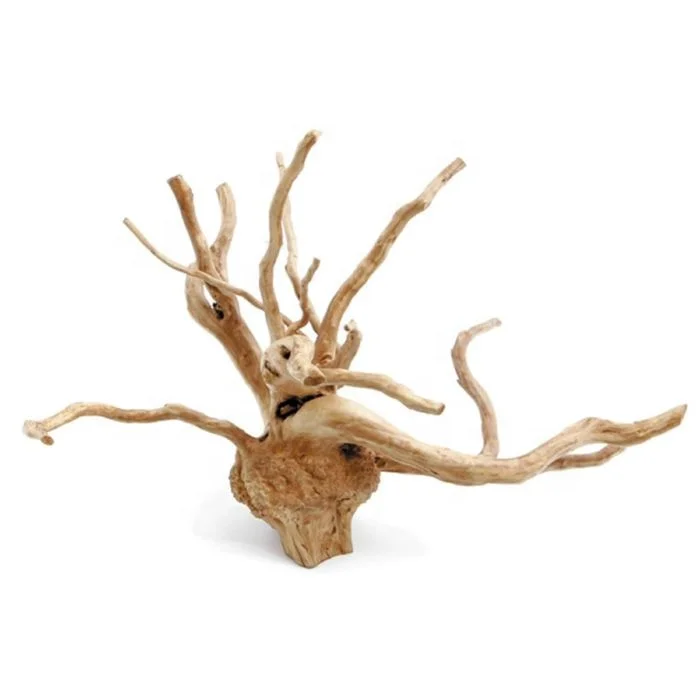 

30-60cm Azalea roots Tweety woods for aquarium decoration