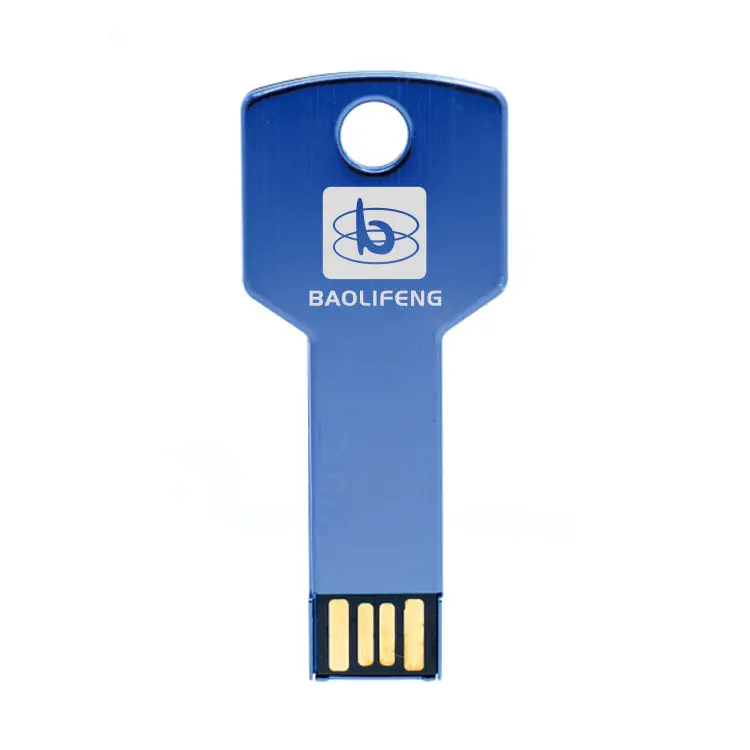 China factory directly metal key shape usb stick A grade usb chips cheap prices thumb drive compatible with computers laptops - ANKUX.COM