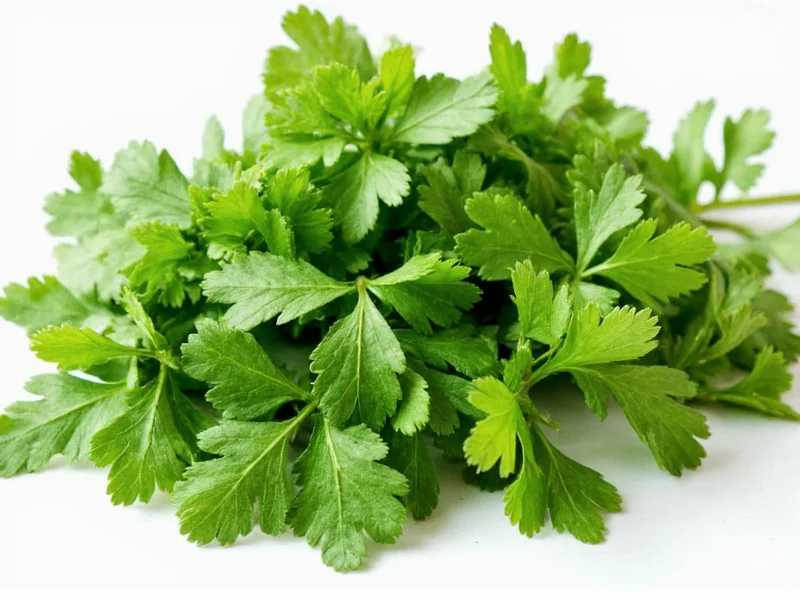 parsley vs cilantro taste