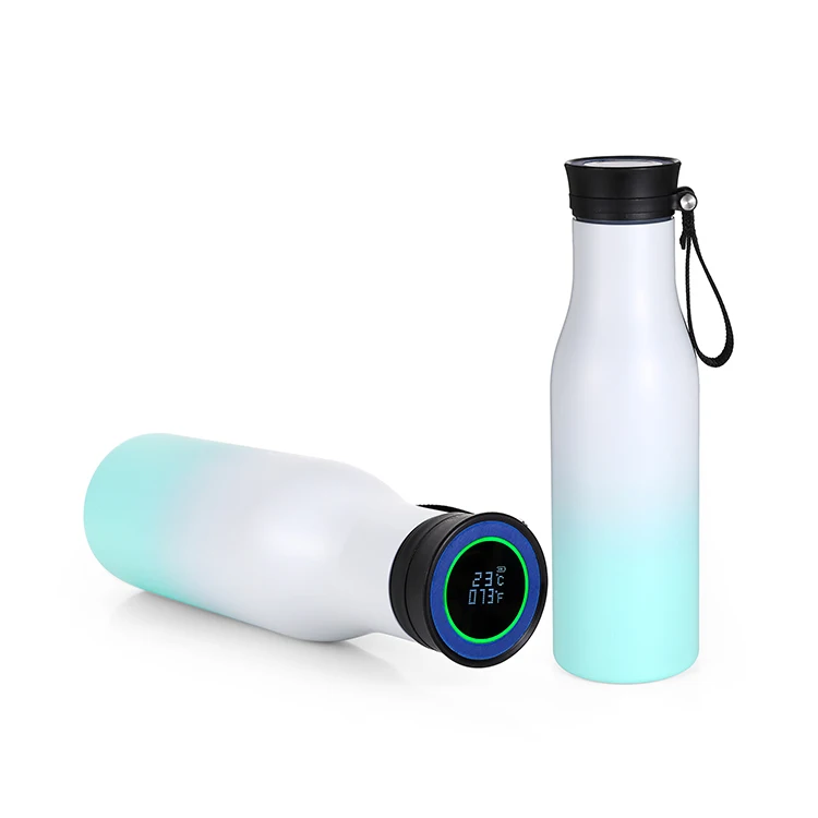 

EVERICH narrow vacuum bottle special new Smart Water Bottle with LED Temperature Display Thermo Flask Bottle Tea Cup, Customized color