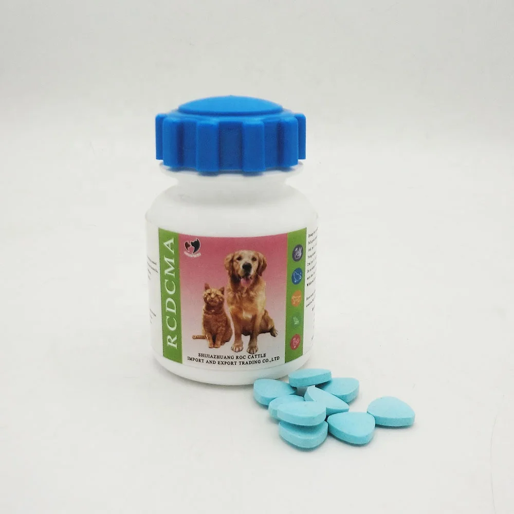 When to give your dog heartworm medicine