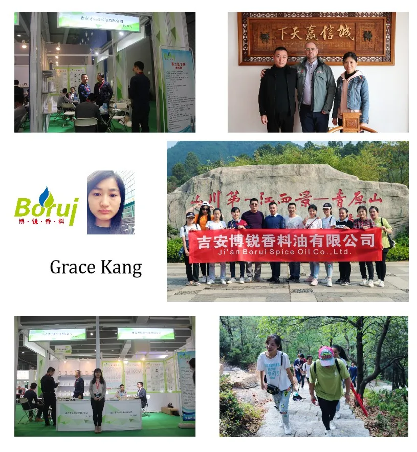 Manufacturer bulk fast sell sex body massage oil 1kg price 100% natural pure aloe vera lip essential oil for skin