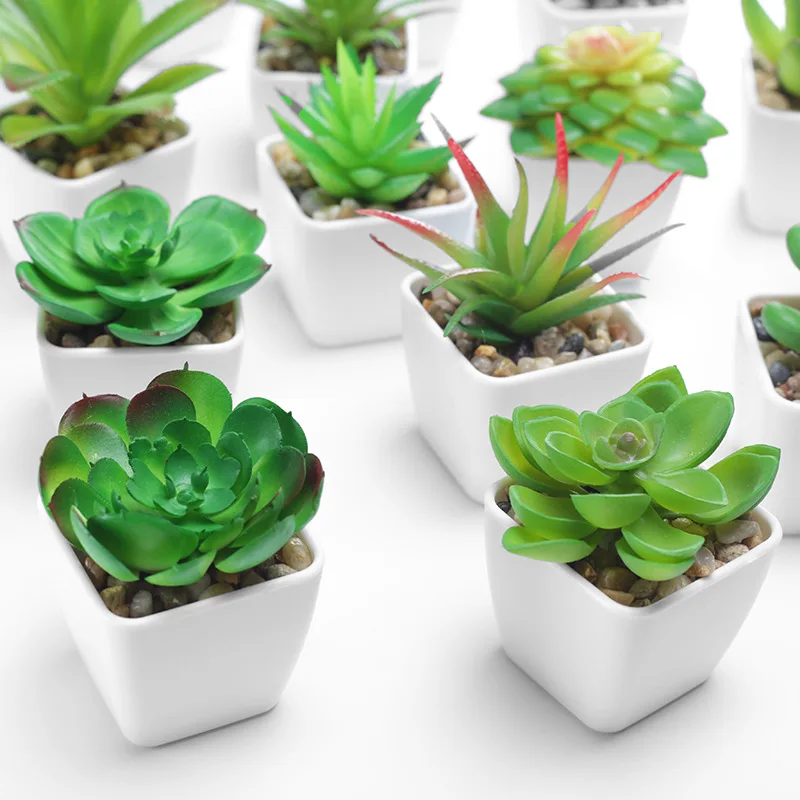 

Best Selling Plastic Pots Plantas Cute Faux Plants Decor Indoor Korean Cactus Plants Succulents Decoration Plants Artificial, Customizable