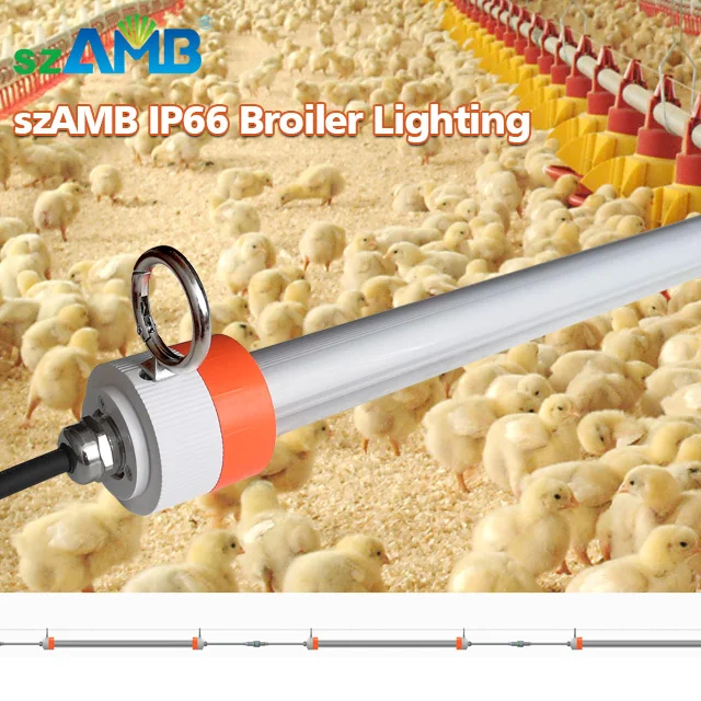 Animal Welfare-Friendly Dimmable Agricultural  Grow LED Light Solution For  Poultry  Farm