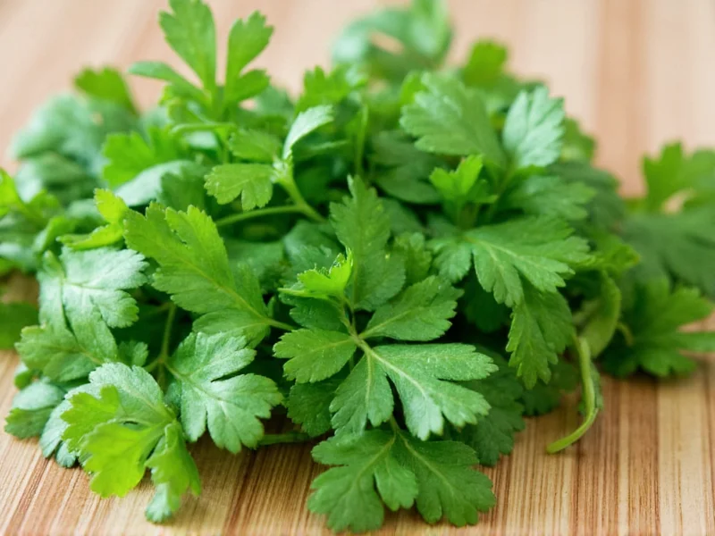 Can Cilantro Replace Parsley? Herb Substitution Guide