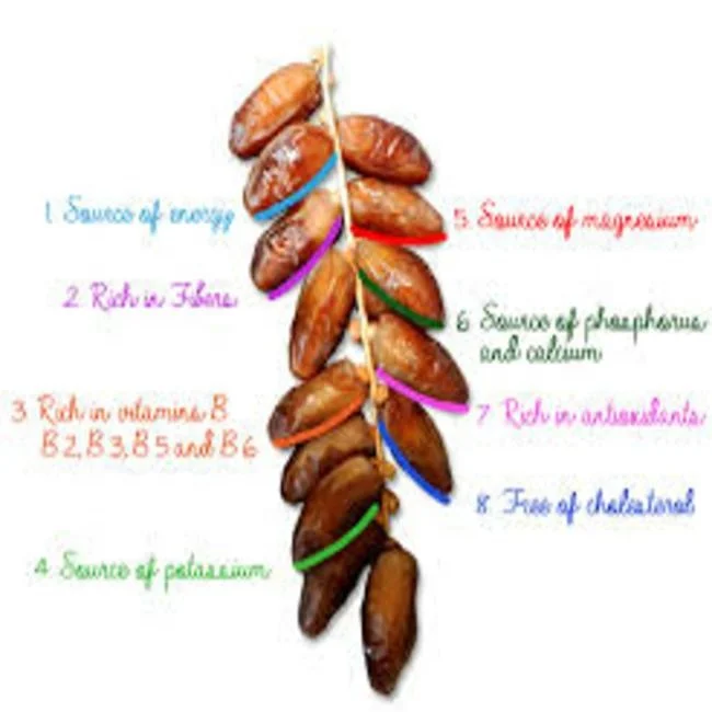 
date fresh date 100% energitic 4-5cm tunisia deglet noor , high quality , competitive price 