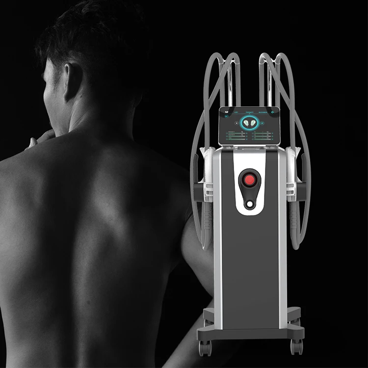 

Ems Muscle Stimulator Sculpture Electro Stimulation Emslimming RENASCULPT Teslaslim Circslim Body Contouring HIF Hi emt EMS