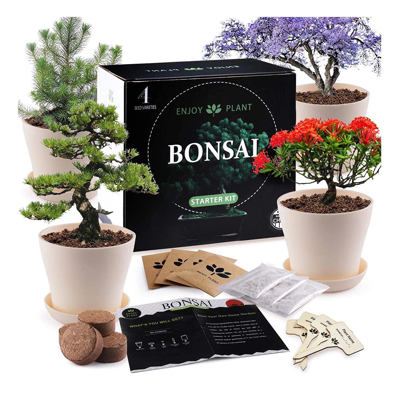 

Diy Crafts Indoor Home Growing Plant Gifts Pot Peat Soil Bonsai Tree Starter Kit for Kids Educational Gardening Birthday Toys