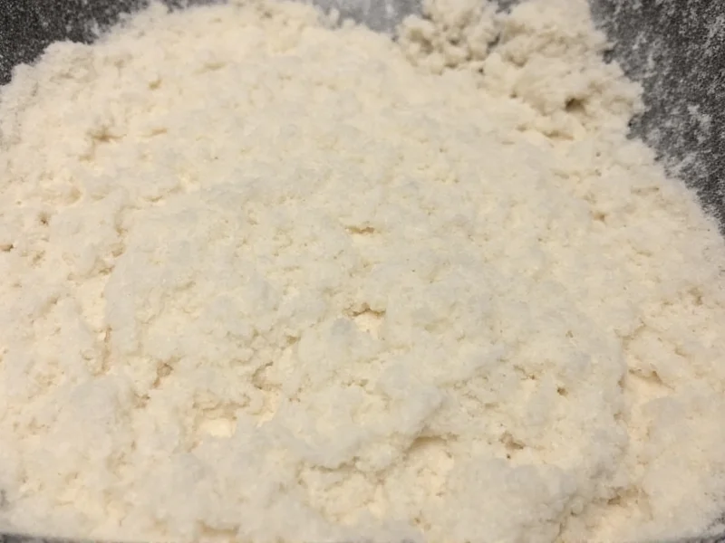 Autolyse stage showing hydrated flour mixture