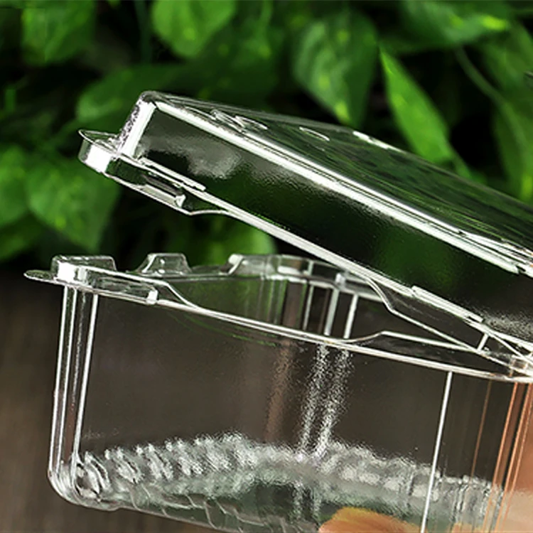 

Food Grade Pet Disposable Plastic Fruit Container/Salad Boxes Low Price, Transparent