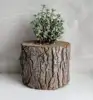 Natural and plain, craft decoration Tree Stump Shape succulent wooden flowerpot