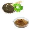 HONGDA Factory Supply Celery Seed Powder Celery Seed Extract Apigenin