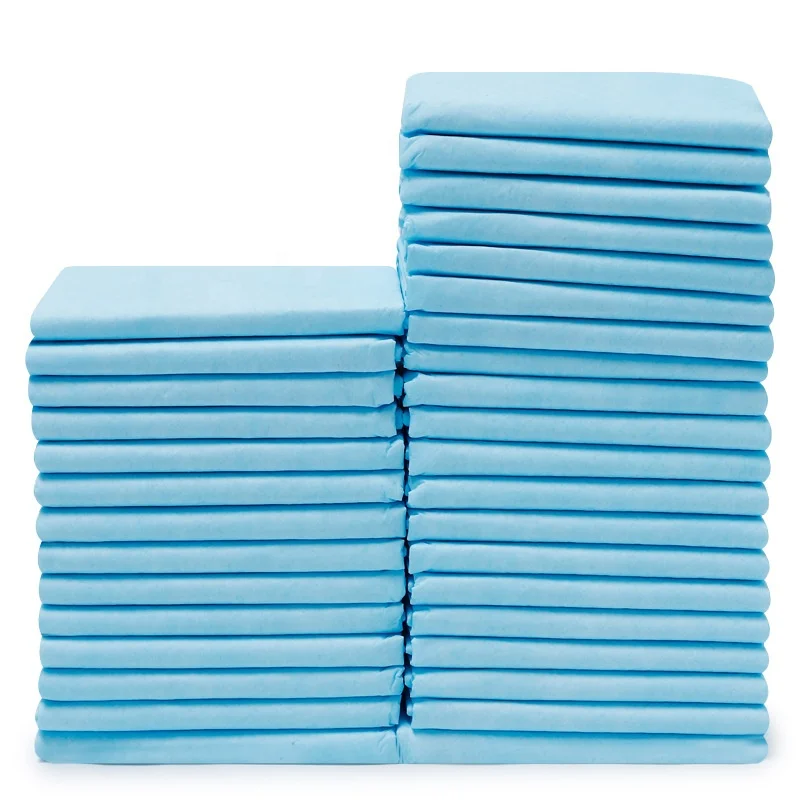 

Basics Dog and Puppy Pads, Leak-proof 5-Layer Pee Pads with Quick-dry Surface for Potty Training, Blue