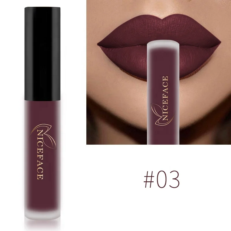 

High Quality Wholesale Lip gloss Waterproof Matte Liquid Lipgloss With High Pigment
