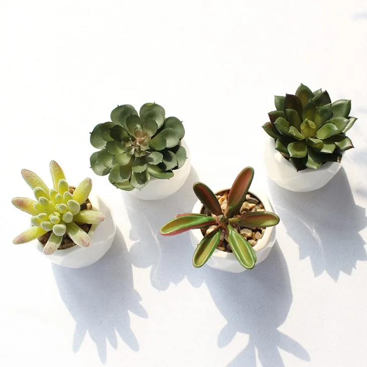 Factory Wholesale Drs4 4set Mini Ceramic Potted Cheap Assorted Bulk