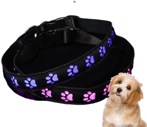 

Best Selling Dogs Luminous Fluorescent Collars Pet Supplies Led Dog Collar