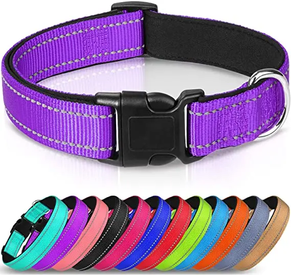 

Most popular wholesale fashionable reflective neoprene cheap price accessories nylon soft leash pet dog collar