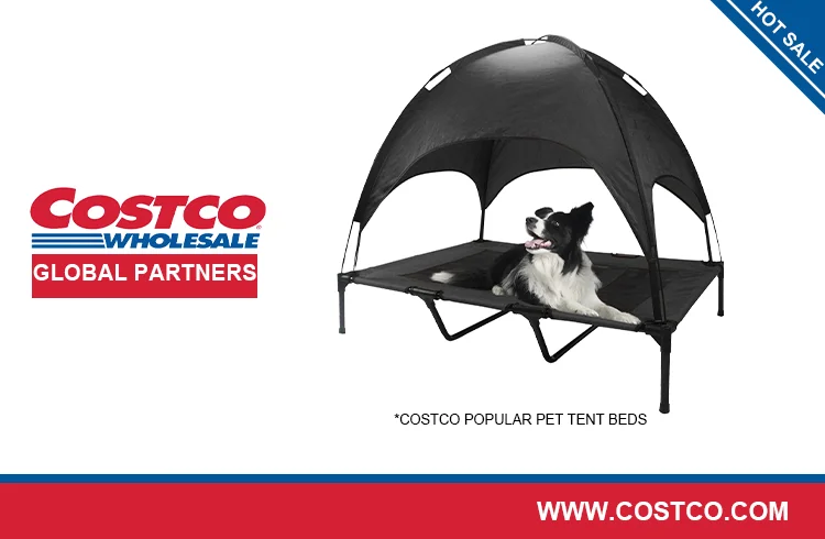 Costco dog outlet ramp