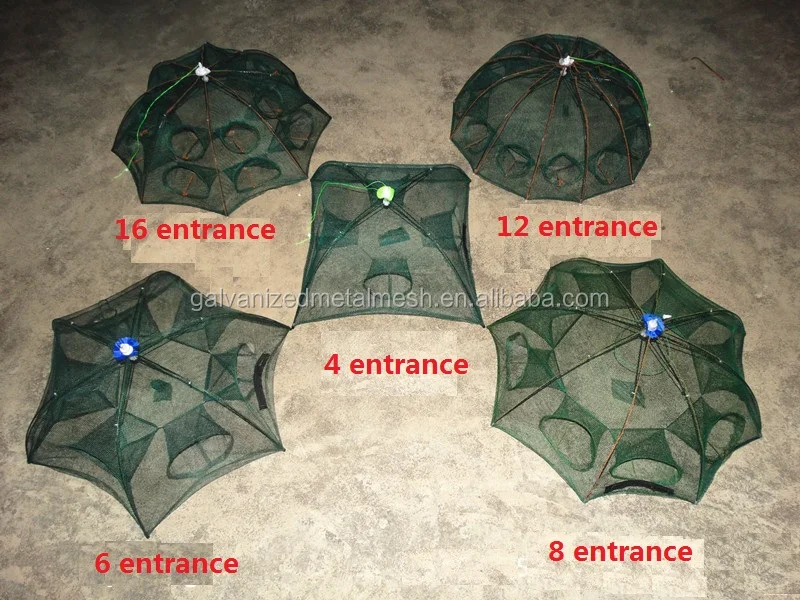 umbrella trap cage (1).jpg
