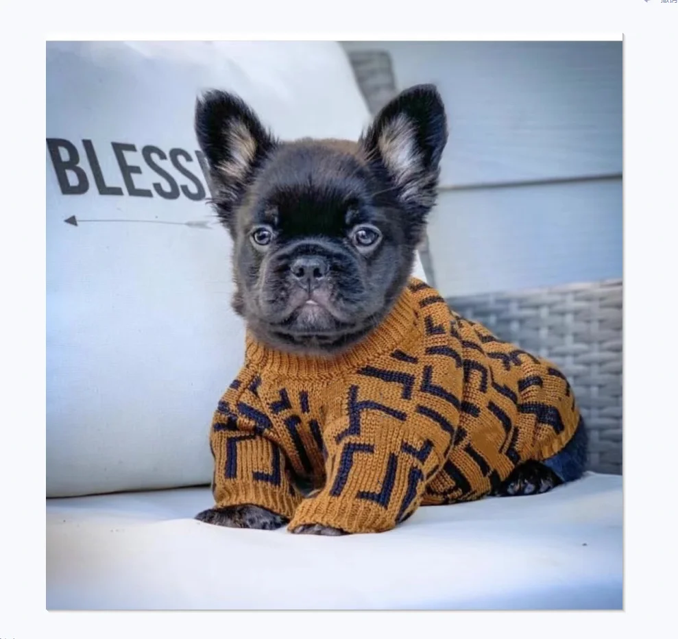 

Autumn Classic Design Haute Couture Luxury Brand F Design Cute Trendy Dog Sweater