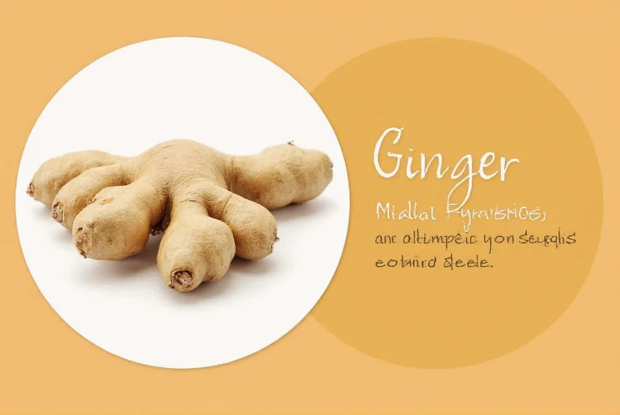ginger allergy
