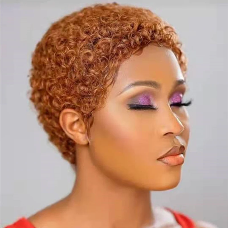 

Letsfly Afro Curly Full Machine Made Cheap Short Cut Wigs #27 #30 #99j #1b Non Lace Wig Human Hair Free Shipping For Black Woman