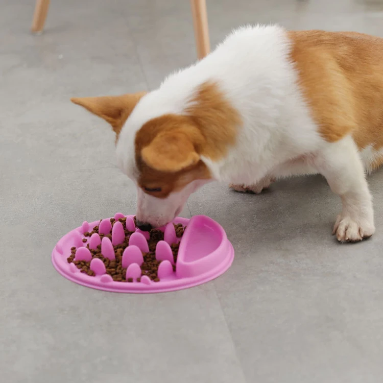 

Dog Bowl Slow Feeder Dog Bowl Stand Dog Bowls For Pet Puppy