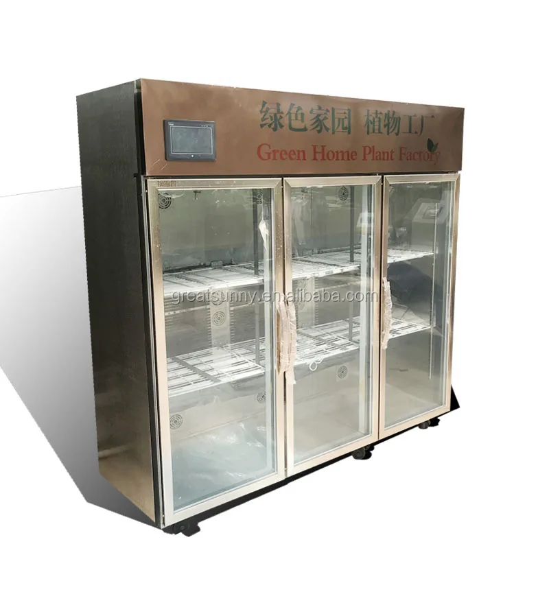 
Automatic salad vegetable planters, such as sesame, chicory and lettuce, come from sunlight machinery 